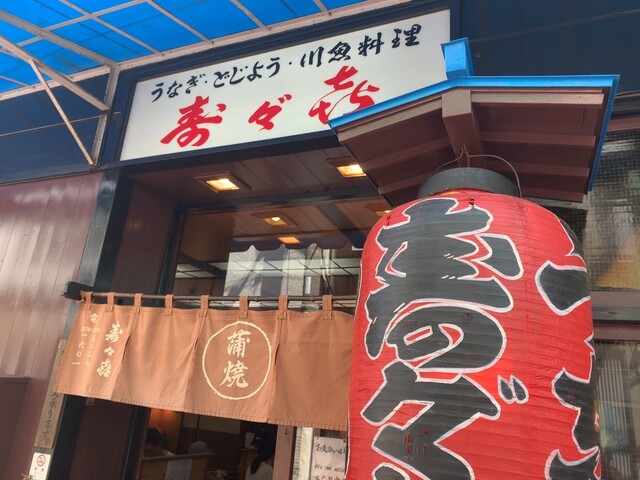 寿々喜的实拍高清图