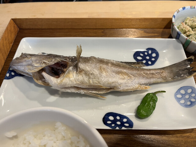食堂 泰山木的實拍高清圖