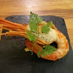 らく天的实拍图