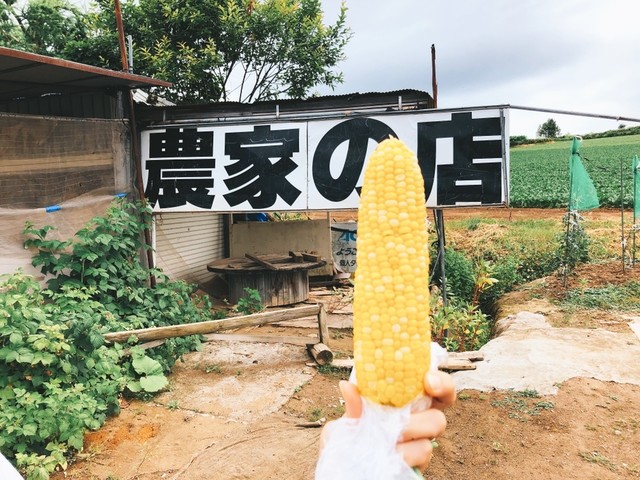 長谷川農園的实拍高清图