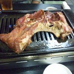 recommendations for 柿の木