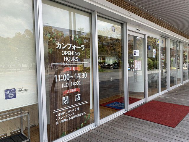 カンフォーラ的实拍高清图