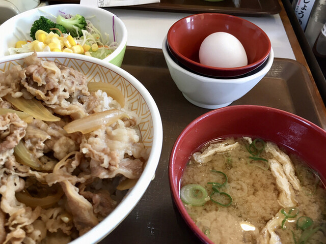すき家 36号苫小牧明野店的實拍高清圖
