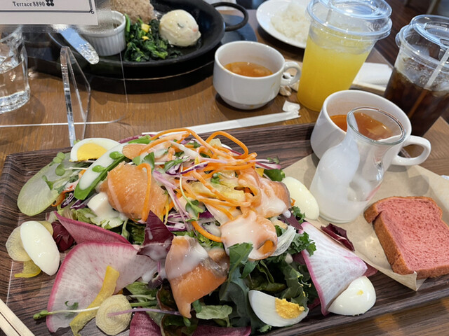 テラス8890的實拍高清圖