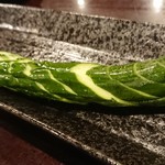 九州名物とめ手羽 新宿店的實拍圖