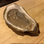 生牡蠣研究所的實拍圖