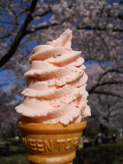 神代植物公園１号売店的實拍圖
