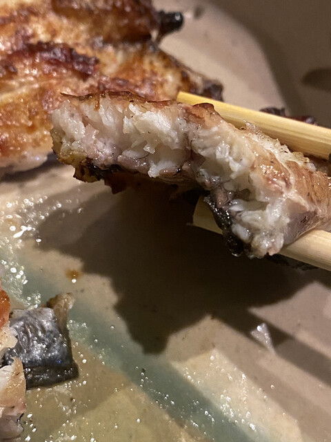 鰻 芳松的實拍高清圖