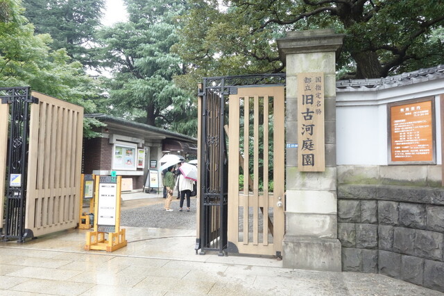 旧古河庭園 洋館　喫茶室的实拍高清图