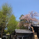 自然酒菜 一瞬的实拍图