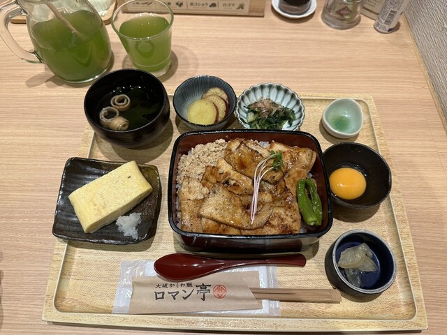 recommendations image for 大坂かしわ飯 ロマン亭