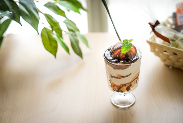 recommendations image for 保護犬＆保護猫カフェ 寺田町店