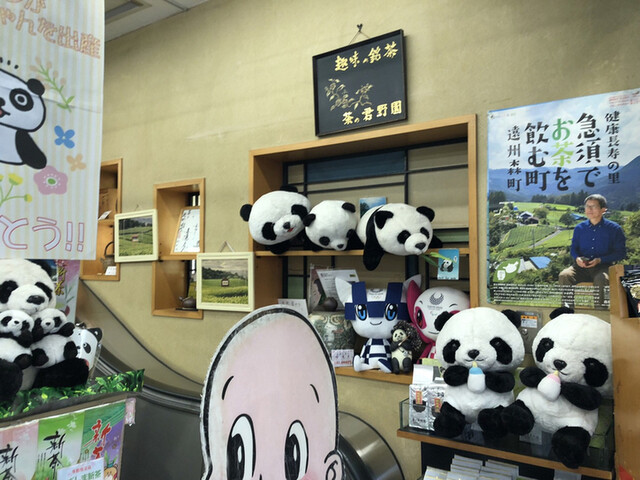 茶の君野園的實拍高清圖