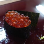 慎魚的实拍图