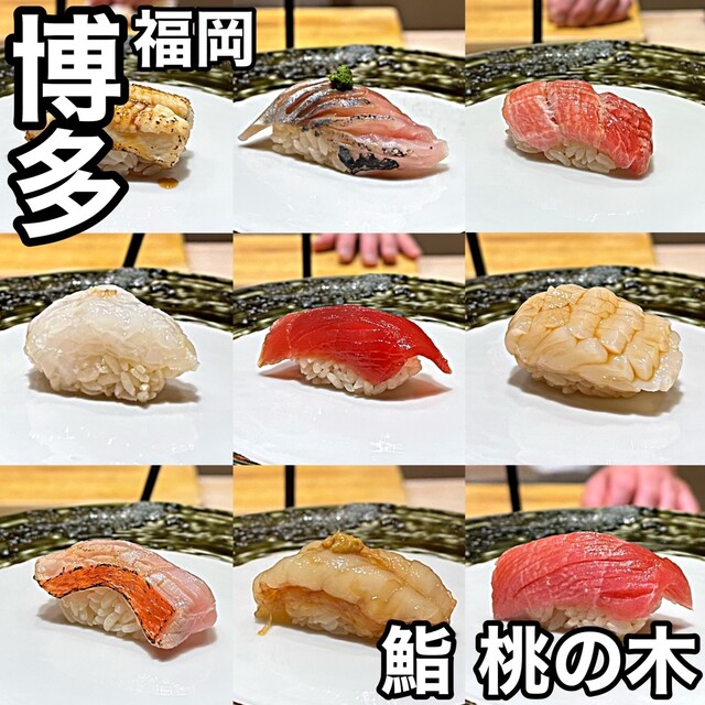 博多 鮨 桃の木的實拍高清圖