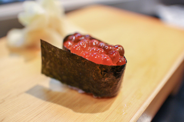 鮨の魚政的实拍高清图