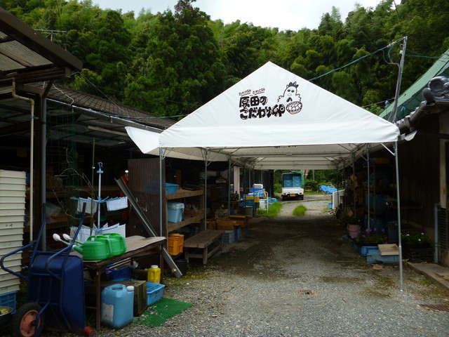 原田のこだわり卵 山﨑幹男養鶏場的實拍高清圖