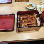 recommendations for うな政