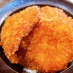 新潟カツ丼 タレカツ 神保町すずらん通り店的实拍图