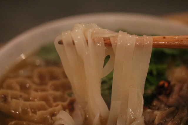 小梟的实拍高清图