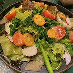 recommendations for ンケリコ