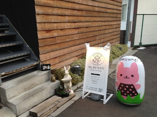 recommendations image for ミス・バニー