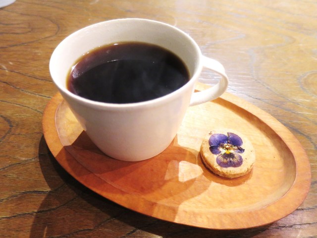 コチト ハナトオカシト的實拍高清圖