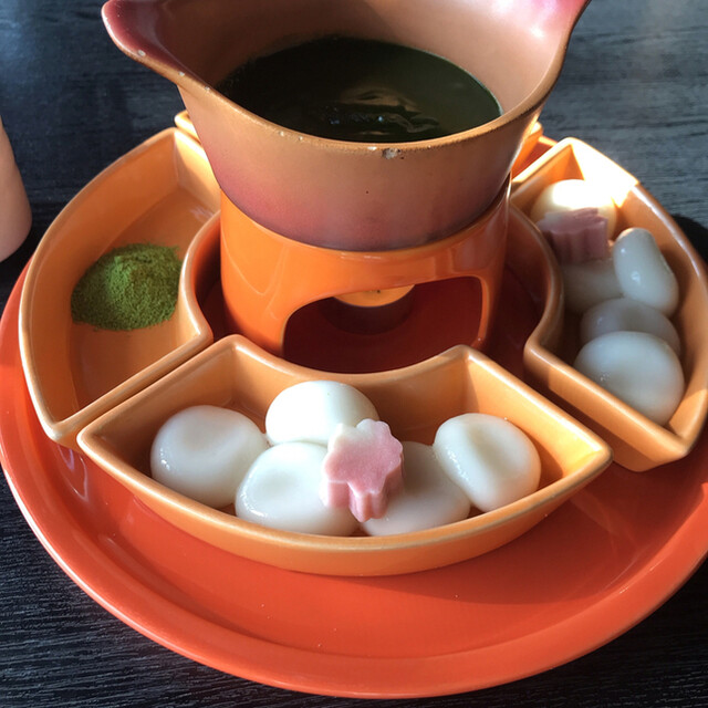 櫟的实拍高清图