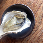 魚庄 糸島 大原店的實拍圖