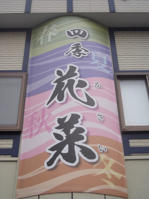 四季花菜的实拍高清图