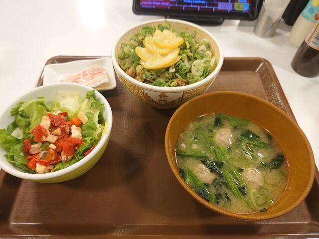 すき家 枚方渚内野店的实拍高清图