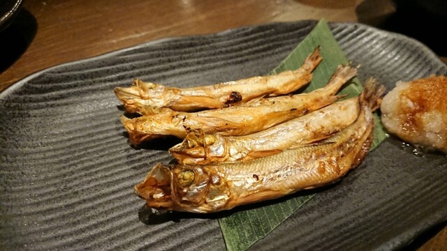 旬菜 てる的实拍高清图
