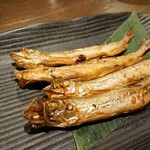 旬菜 てる的实拍图