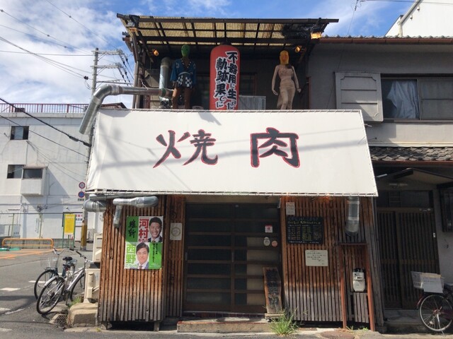 不器用に生きた軌跡の果てに的實拍高清圖