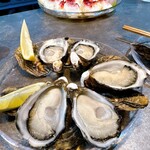 recommendations for ヤングオイスター