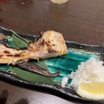ちょびすけ的實拍圖