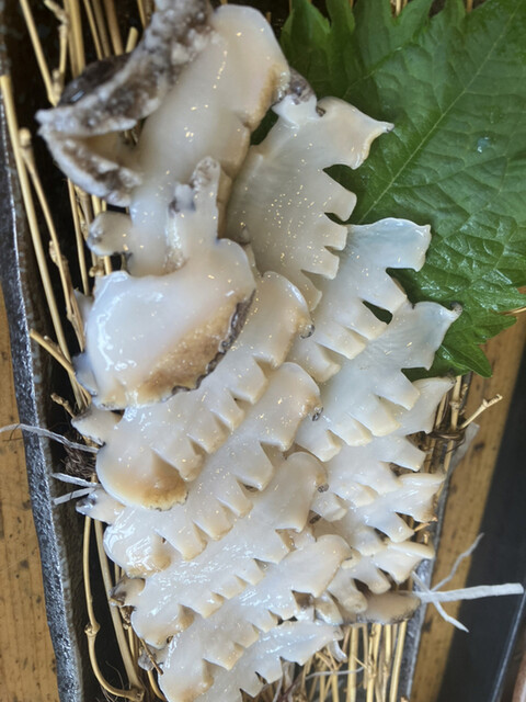 磯の屋的實拍高清圖