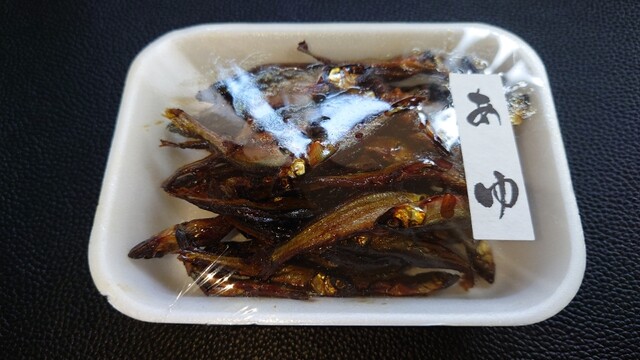 鳥豊的实拍高清图