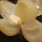 recommendations for なごみ 駆々
