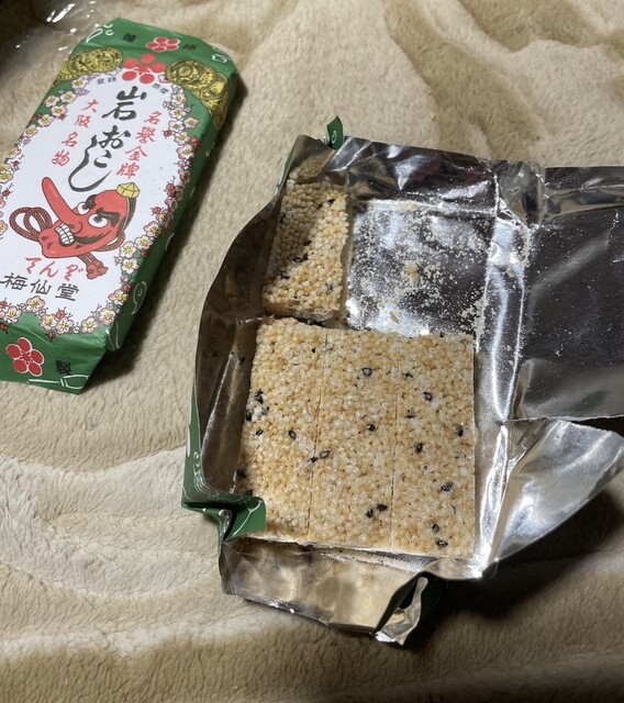 梅仙堂的實拍高清圖