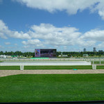 サッポロライオン 札幌競馬場店的实拍图