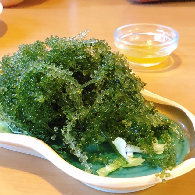 recommendations image for つはこ