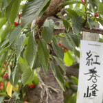 ニトリ観光果樹園的實拍圖