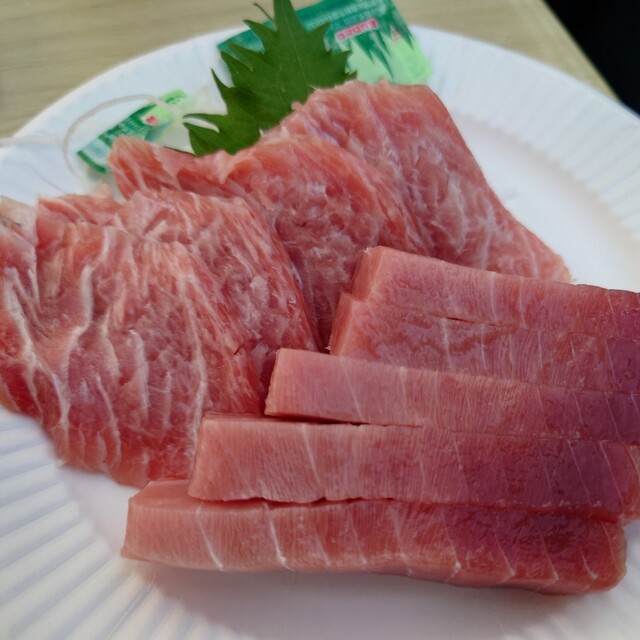 まぐろのみやこ的實拍高清圖