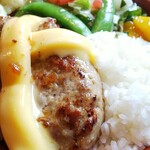 recommendations for びっくりドンキー 手稲富丘店