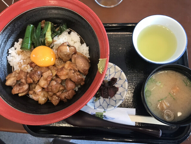 橋立大丸 本店的實拍高清圖