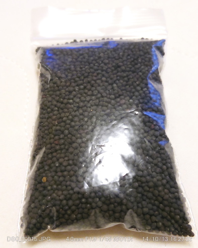 recommendations image for エベレスト スパイス アンド ハラル フード