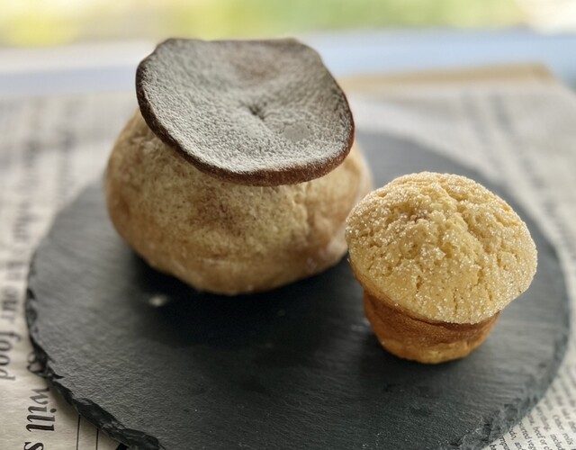 recommendations image for REGINA