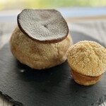 recommendations for REGINA