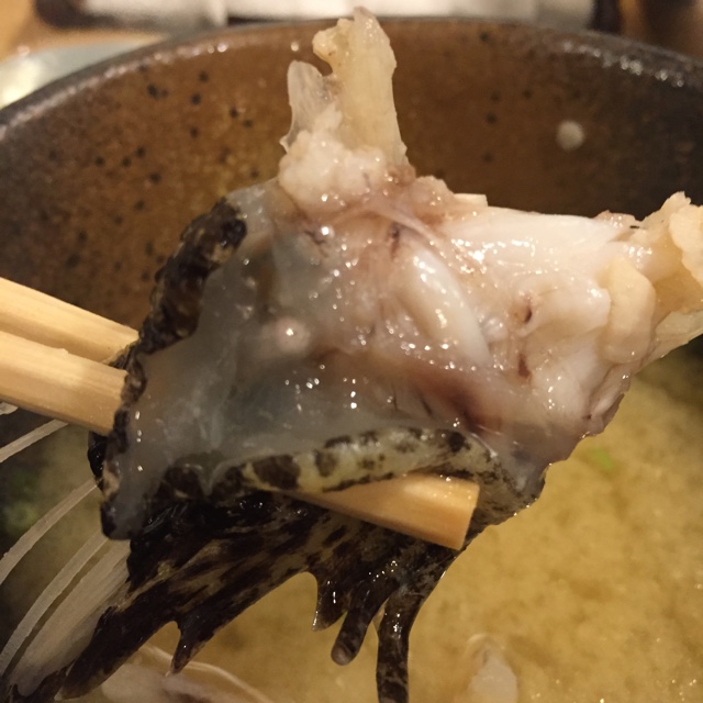 博多中洲 六三亭的實拍圖